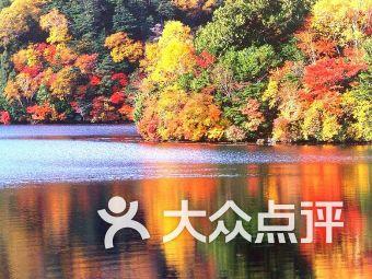 发现四年级的孩子成绩下降是什么原因,探索有趣话题 | 红迪网